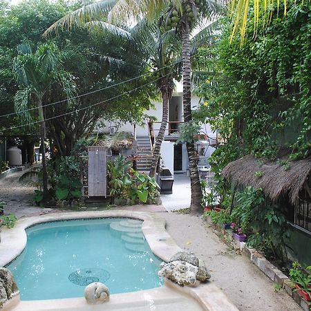 Lobo Inn Tulum Exteriér fotografie