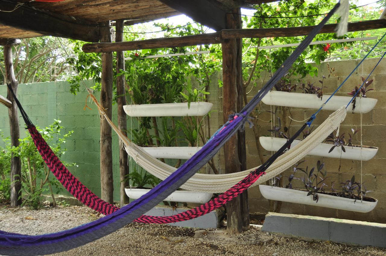 Lobo Inn Tulum Exteriér fotografie