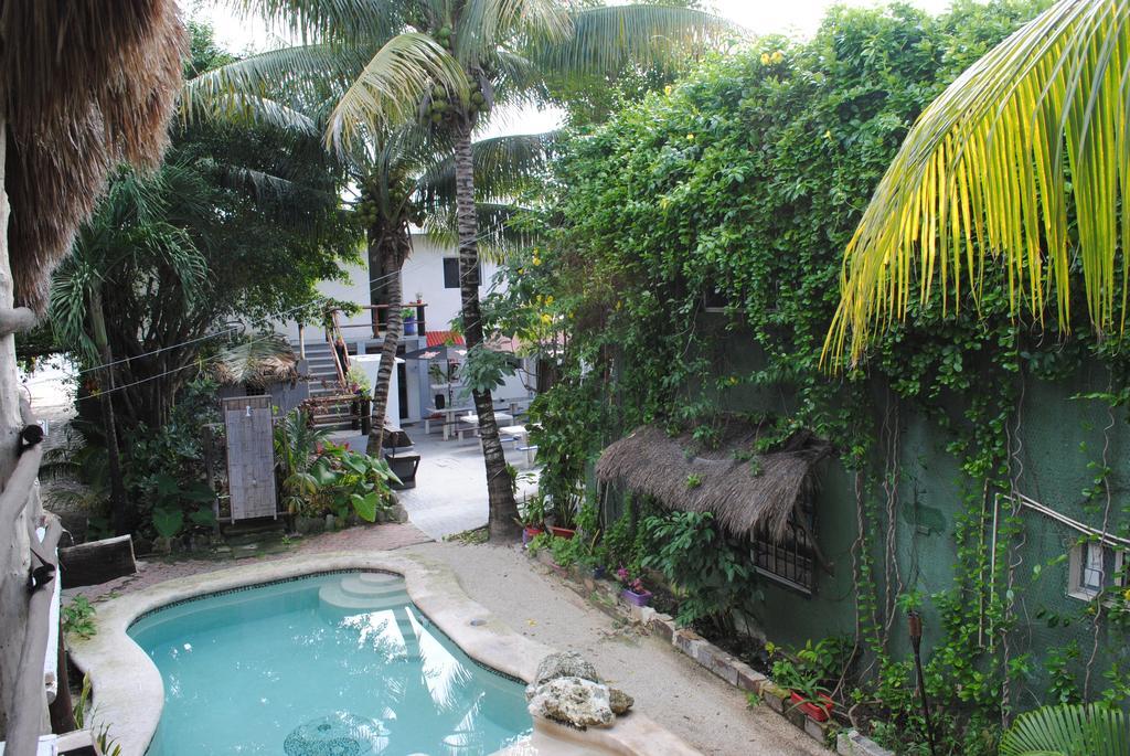 Lobo Inn Tulum Exteriér fotografie